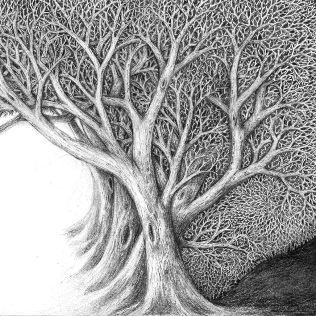 detail of black and white forest passage drawing