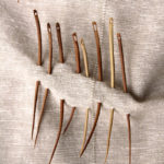 various thorn needles made from a rare subspecies of the Hawthorn